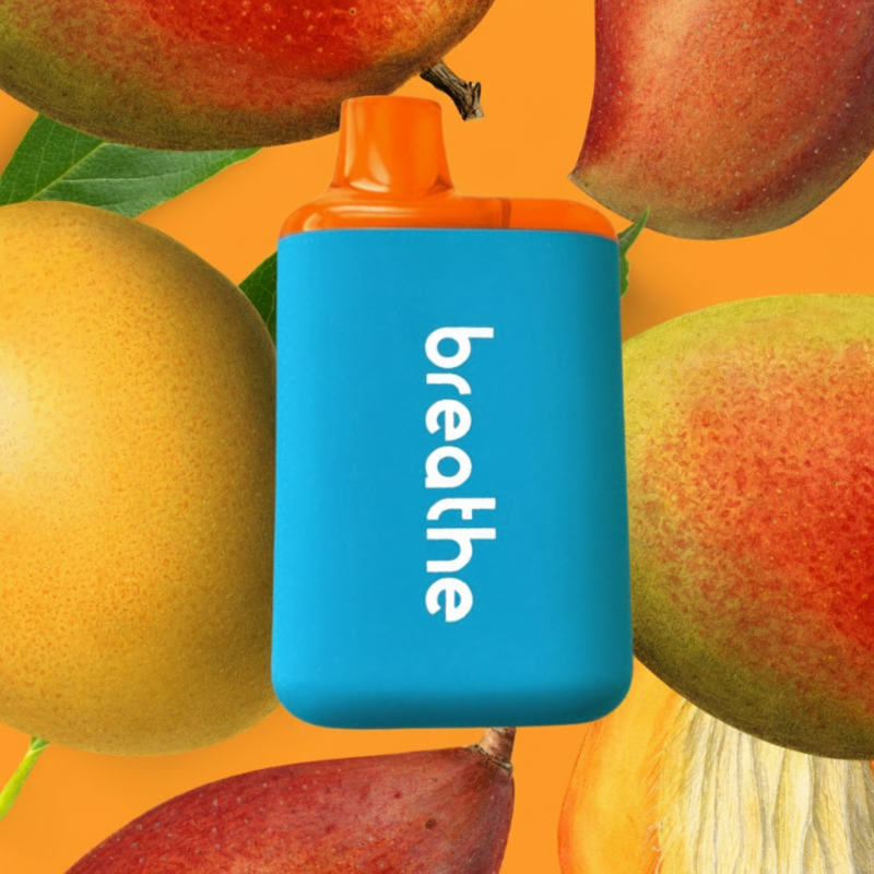 Mango 3-Pack
